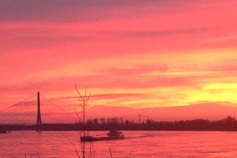 SofaConcerts Gastgeber Profil Foto Rhinestage Neuss